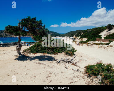 People in Salinas beach, Ibiza, Spain Stock Photo - Alamy