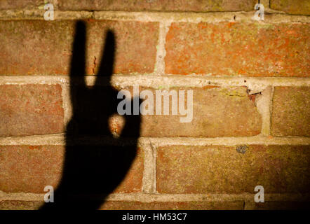 Shadow of a man's palm looking like a rabbit head Stock Photo