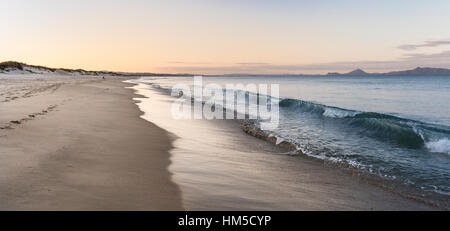 Beach at sunset, Waipu, Northland, New Zealand Stock Photo