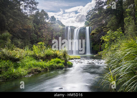 Whangarei Waterfall, temperate rainforest, Whangarei, Northland, North Island, New Zealand Stock Photo