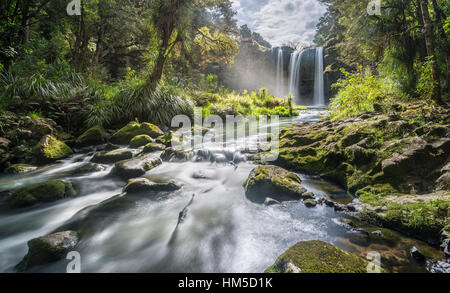 Whangarei Waterfall, temperate rainforest, Whangarei, Northland, North Island, New Zealand Stock Photo