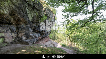Early summer sunlight in woodland at Alderley edge, Cheshire, England. Stock Photo
