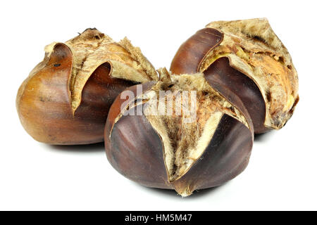roasted chestnuts isolated on white background Stock Photo