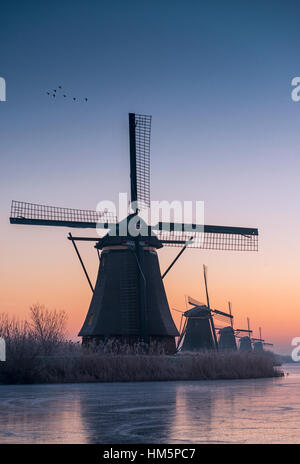 Winter sunrise over the windmills at the Kinderdijk UNESCO World Heritage Site in the Netherlands Stock Photo