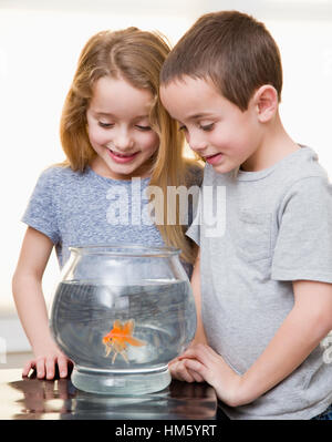 Boy (6-7) and girl (6-7) looking at goldfish in fishbowl Stock Photo