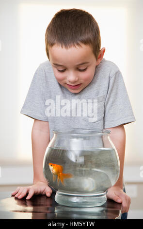 Boy (6-7) looking at goldfish in fishbowl Stock Photo