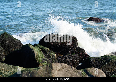 waves crashing against shoreline rocks covered with algae Stock Photo