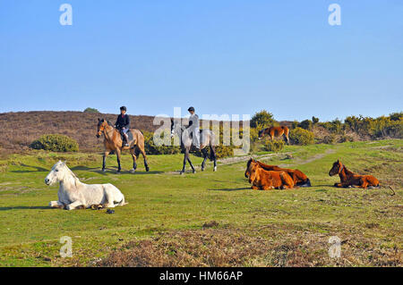 Horse riders and ponies in the New Forest National Park, Burley, Hampshire, England Stock Photo