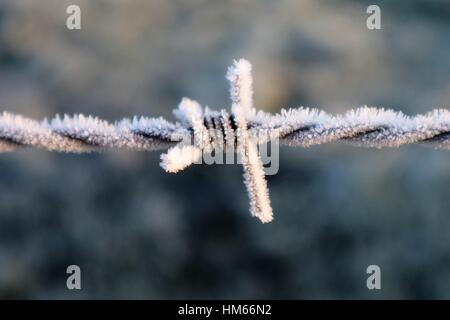 frozen barbed wire Stock Photo