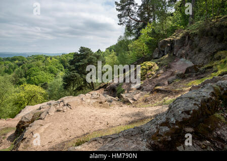 View from Alderley edge, Cheshire, England. Woodland below the sandstone slopes. Stock Photo