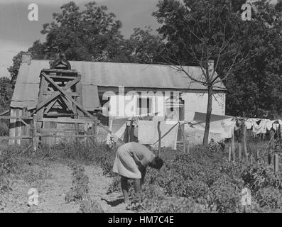 African-American woman tends a garden in front of old slave quarters on a plantation Thomastown, Louisiana, 1940. Stock Photo