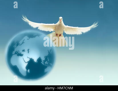 White dove above terrestrial globe Stock Photo