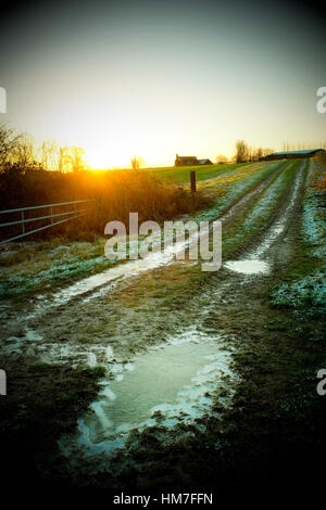 sunrise over farm, farmers field and grass track with iced puddles in the foreground. Stock Photo