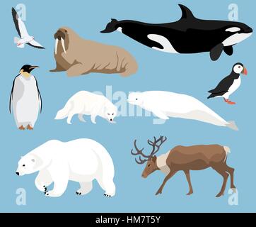 Set of arctic animals Stock Vector