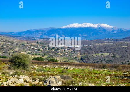 View of the Hula Valley and Mount Hermon, Northern Israel Stock Photo