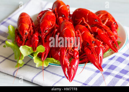 Boiled red crayfish on the plate food concept Stock Photo
