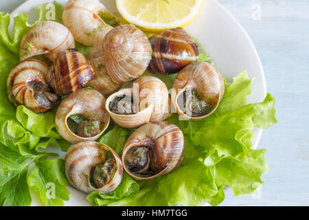 Snails with garlic on the plate food concept Stock Photo