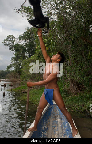 Spider monkey at Villagers of the Native Indian Embera Tribe, Embera Village, Panama. Panama Embera people Indian Village Indigenous Indio indios nati Stock Photo