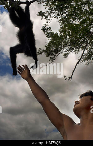 Spider monkey at Villagers of the Native Indian Embera Tribe, Embera Village, Panama. Panama Embera people Indian Village Indigenous Indio indios nati Stock Photo