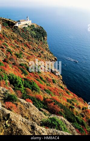 The lighthouse at Punta Omo Morto, with maquis shrubland, Ustica, Sicily, Italy. Stock Photo