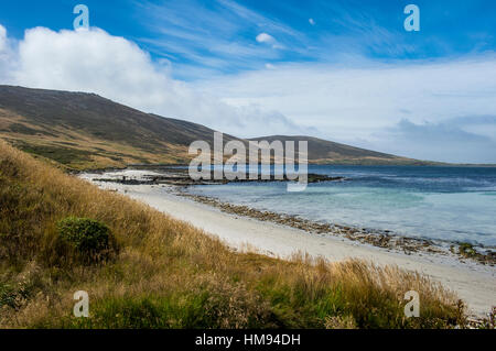 View over Carcass Island, Falkland Islands, South America Stock Photo
