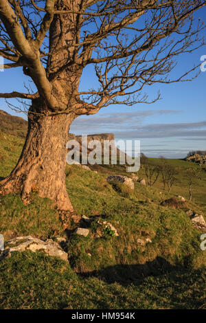 Murlough Bay, Fair Head, County Antrim, Ulster, Northern Ireland, United Kingdom Stock Photo