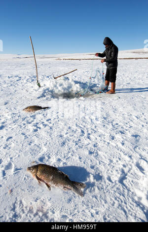 Ardahan, Turkey - January 14, 2017: Fishermen fishing by using fishnet on frozen Cildir lake in Ardahan city of Turkey on January 14, 2017. Stock Photo