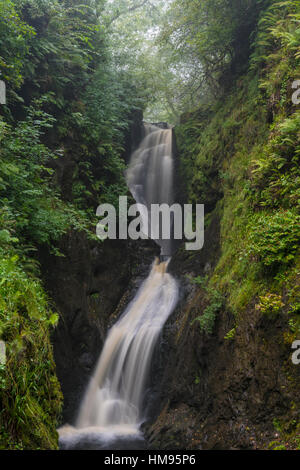 Ess Na Larach, Glenarriff, County Antrim, Ulster, Northern Ireland, United Kingdom Stock Photo