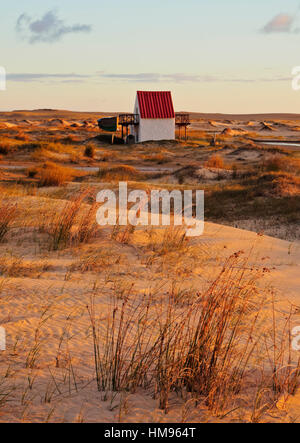 Sunrise at dunes, Cabo Polonio, Rocha Department, Uruguay, South America Stock Photo