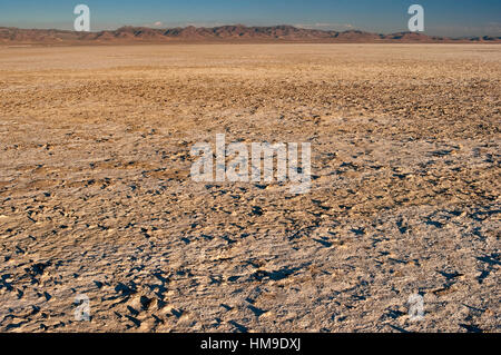 Salt deposit at Sevier Lake, dry lake in Great Basin Desert, Utah, USA Stock Photo