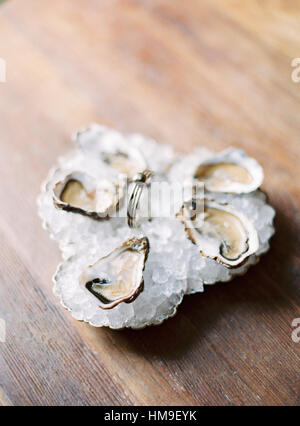 Oysters Stock Photo