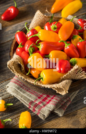 Raw Organic Mini Sweet Peppers Ready to Eat Stock Photo