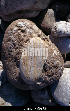 Mottled rock and stone with lines, Crete, Greece Stock Photo - Alamy