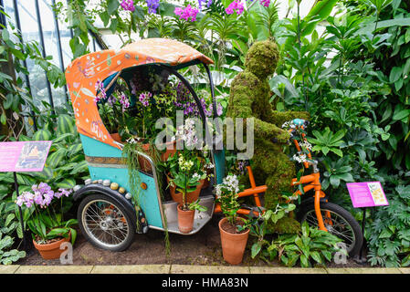 London, UK. 2nd Feb, 2017. A decorated rickshaw is on display in Kew Garden's annual Orchid Festival, which this year celebrates India's vibrant and colourful culture. The festival runs from 4 February to 5 March 2017. Credit: Stephen Chung/Alamy Live News Stock Photo