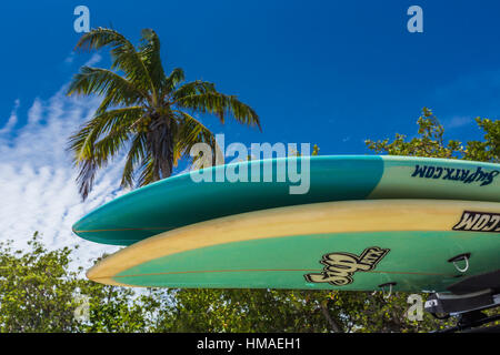 Stand Up Paddleboards atop a car in Bahia Honda State Park, Florida Keys, USA Stock Photo