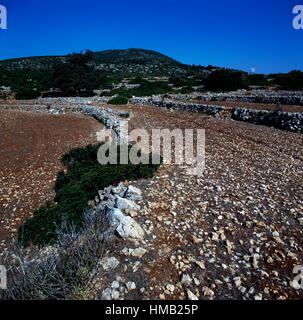 Land plots bounded by dry stone walls, Lefkada island, Ionian islands, Greece. Stock Photo