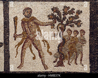 stealing the apples of the hesperides