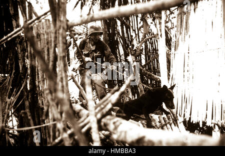 Canines of the QM War Dog platoon were used on Biak Island, off the coast of New Guinea, to track down Japanese hidden in caves and jungle fastness.  One of these dogs is seen here, at the order to attack, straining at the leash.  July 18, 1944.  (Army) NARA FILE #:  111-SC-191760 WAR & CONFLICT BOOK #:  869 Stock Photo