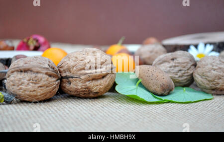 Abstracto con maderas, naranjas, granada, nueces y avellanas Stock Photo