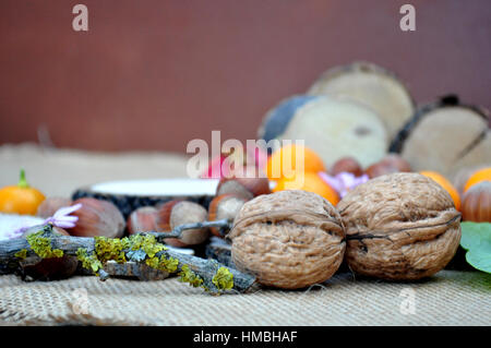 Abstracto con maderas, naranjas, granada, nueces y avellanas Stock Photo