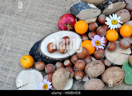 Abstracto con maderas, naranjas, granada, nueces y avellanas Stock Photo