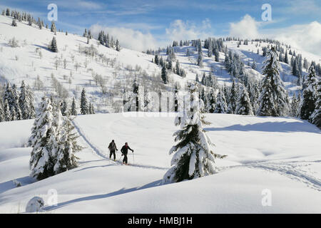 La Giettaz, small valley 'Val d'Arly' (Savoy, French Alps): mountainous landscape covered in snow Stock Photo
