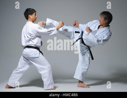 Japanese karate masters fighting Stock Photo - Alamy