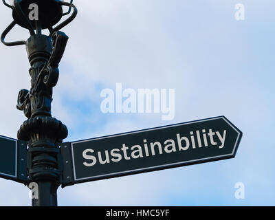 Street lighting pole with conceptual message Sustainability on directional arrow over blue cloudy background. Stock Photo