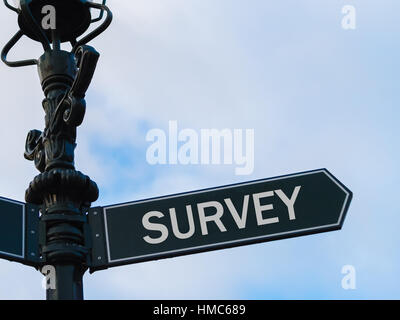 Street lighting pole with conceptual message SURVEY on directional arrow over blue cloudy background. Stock Photo
