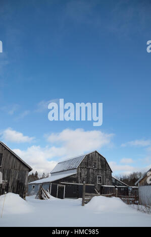 Blue sky and sunshine for this old farm buildings with weathered grey and black painted barn board.  Fresh, deep snow on the ground. Stock Photo