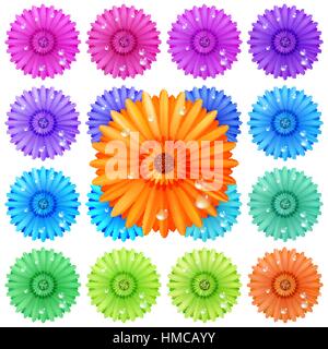 Gerbera flower set isolated on white. plus EPS10 vector file Stock Vector