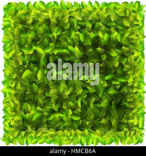 Abstract nature background with fresh green leaves. + EPS10 vector file Stock Vector