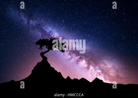 Milky Way and tree on the mountain. Old tree growing out of the rock against night starry sky with purple milky way. Landscape Stock Photo