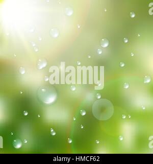 Water drops on green background. plus EPS10 vector file Stock Vector